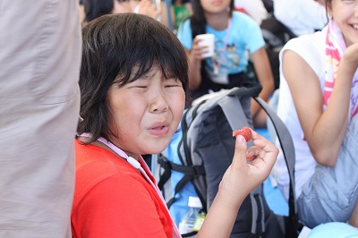 20100807-11-20 20100807-11-20