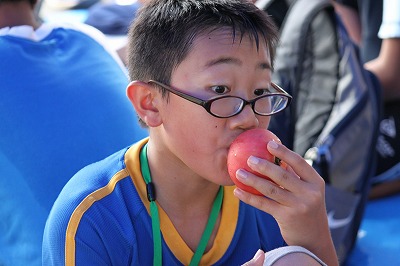 20100807-11-7 20100807-11-7