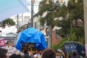 IMG_8390