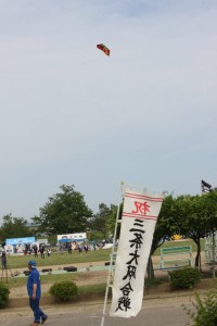 イメージ597