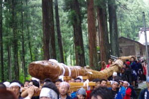 イメージ732